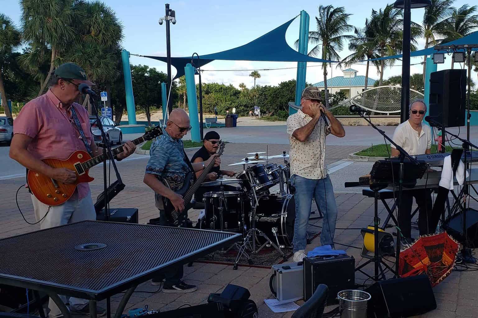 Swamp Cats at Clematis-by-Night